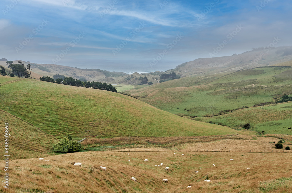 Obraz premium LANDSCAPE WITH SHEEPS