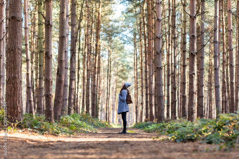Woman exploring in Cannock Chase forest during winter season Woman exploring in Cannock Chase forest during winter season