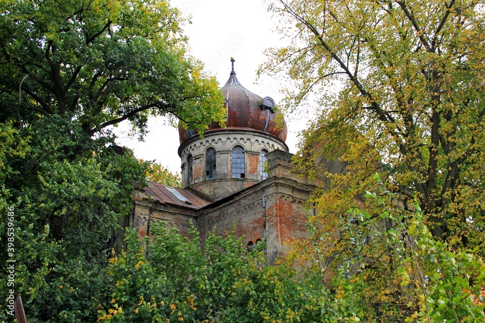 Stary Dzików Stary Dzików