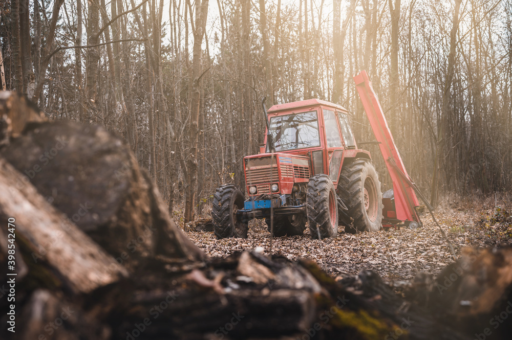 Old red tractor in autumn forest. Forestry tractor or forestry tractor for harvesting wood in the forest.