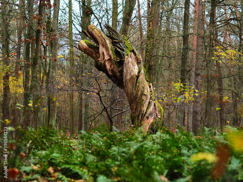 Fototapeta Naklejka Na Ścianę i Meble -  OLYMPUS DIGITAL CAMERA