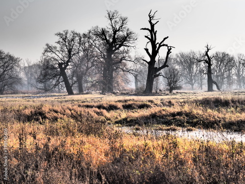 Fototapeta Naklejka Na Ścianę i Meble -  OLYMPUS DIGITAL CAMERA
