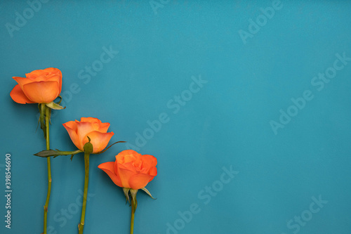 three orange roses lie on the table