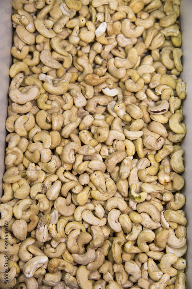 White Indian walnut or Cashew. Fruits nuts vegetables berries useful products agriculture. White Indian walnut or Cashew. Fruits nuts vegetables berries useful products agriculture.