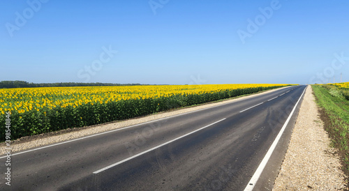 New asphalt road surface on the background of green and yellow fields to the horizon. The construction site for the road works. Highway on the background of a rural landscape         photo