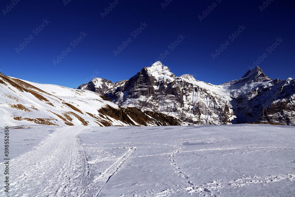 Beautiful views of a mountain Alps as seen from top of First above Grindelwald village in Switzerland
