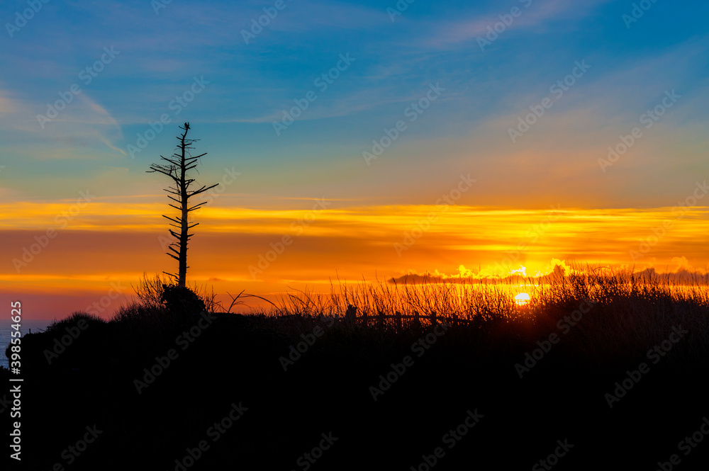 Sunset Shilouetted Lone Snag