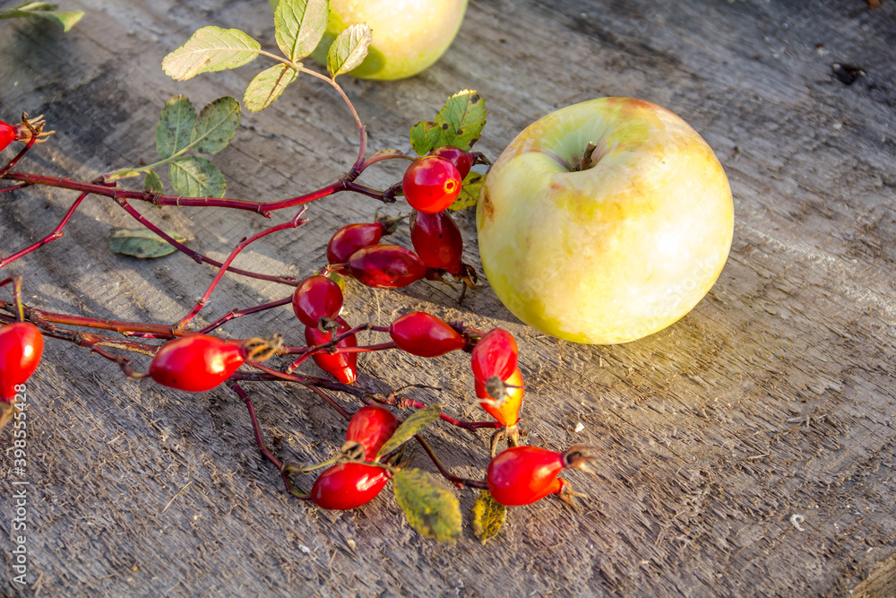 Apple and rosehip branches with red berries on a wooden surface