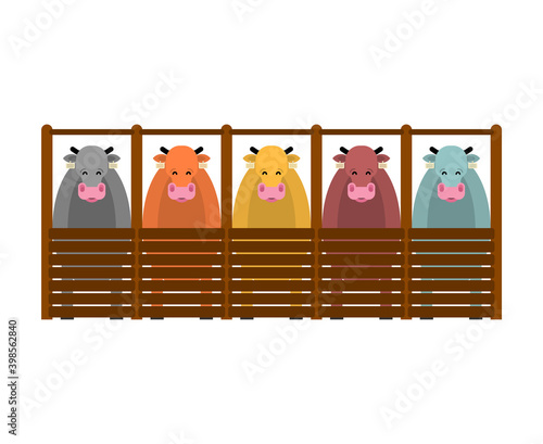 Cows in barn. Cattle on farm. vector illustration