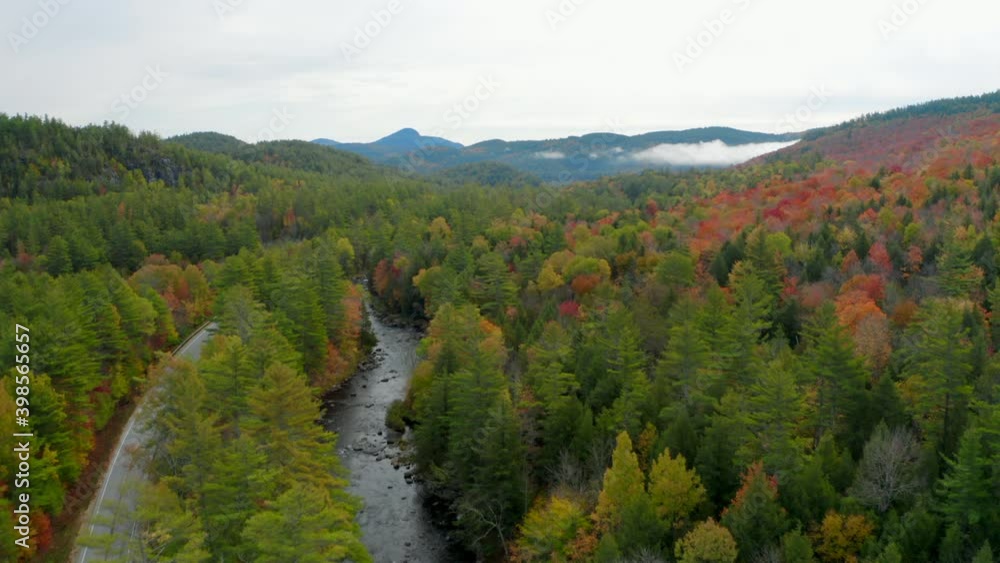 Aerial View of a Road and River Cutting Through a Beautiful Forest with Vibrant Fall Colors Aerial View of a Road and River Cutting Through a Beautiful Forest with Vibrant Fall Colors