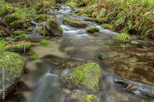 natural river of crystalline waters in Poio  Galicia Spain