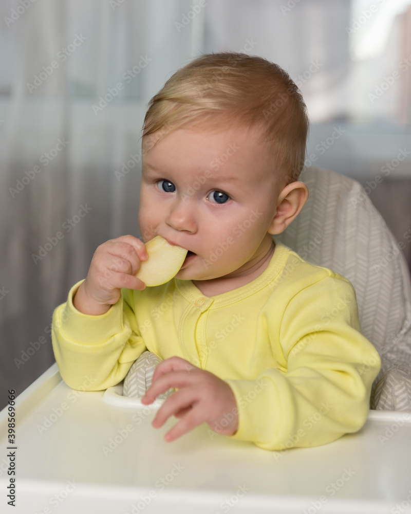 A little baby girl eats an Apple slice and looks the camera. Home furnishings, high chair A little baby girl eats an Apple slice and looks the camera. Home furnishings, high chair