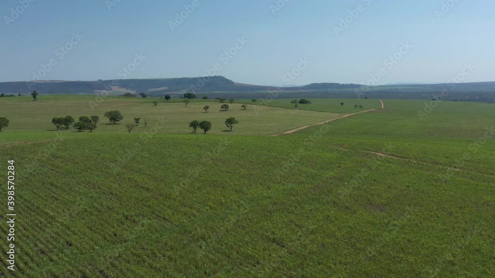 aerial view of cane field with mountains in the background on sunny morning - Brazil aerial view of cane field with mountains in the background on sunny morning - Brazil