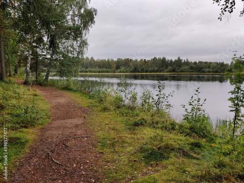 Fototapeta Naklejka Na Ścianę i Meble -  path beside the river in the forest