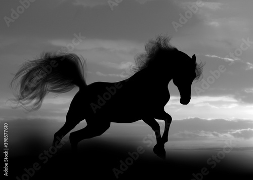 horse silhouette © Mari_art