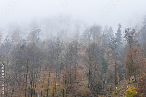 dense white fog on hills with trees while hiking