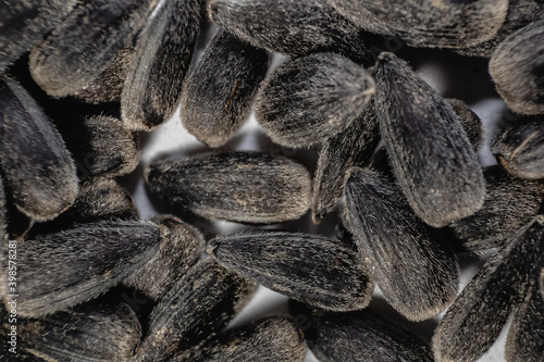 Fotografie Seeds, sunflower seeds close-up. Macro