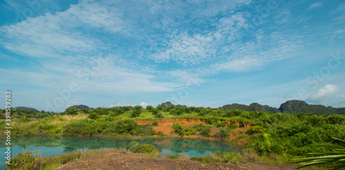 Expanse of oil palm plantations with beautiful views along with cloudy blue skies typical of tropical plantations.