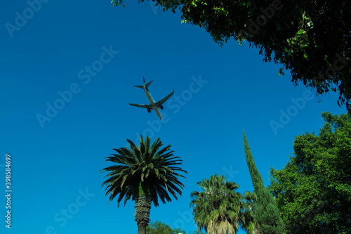avion aterrizando entre palmeras en un plano nadir con cielo azul despejado