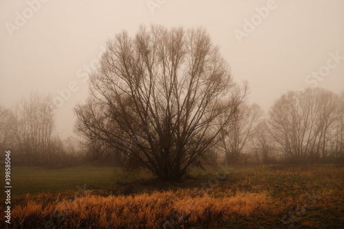 Trübe Landschaft mit Nebel