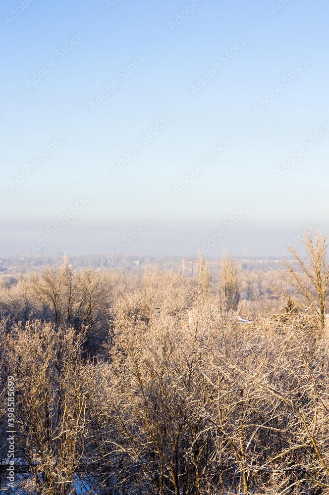 Winter urban frosty landscape - snow covered trees on foggy background Winter urban frosty landscape - snow covered trees on foggy background