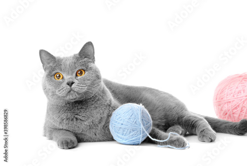 Cat with a ball of thread isolated