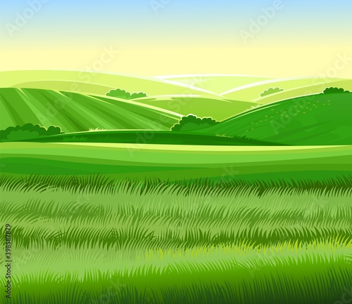 Meadow hills with vegetable gardens and fields. Rangelands and pastures. Rural landscape. Out-of-town scenery with plots of land for agricultural processing. Farmland and farm location. Vector