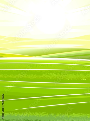 Hills and meadows. Haymaking pastures. Agricultural farm land. Green grass. Grassland for farming. Beautiful countryside landscape. Vector