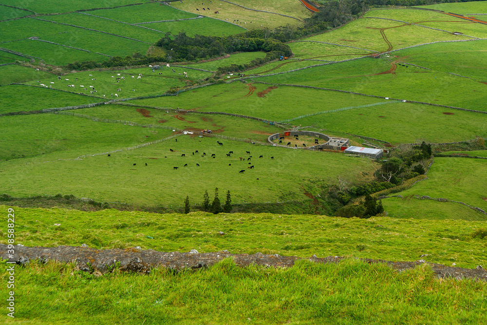 Rural landscape
