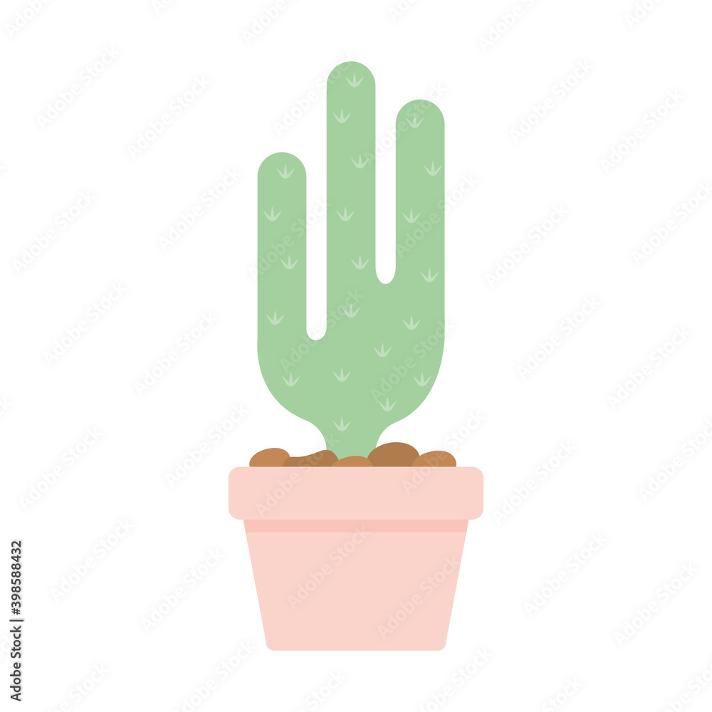 cactus over a salmon color pot cactus over a salmon color pot