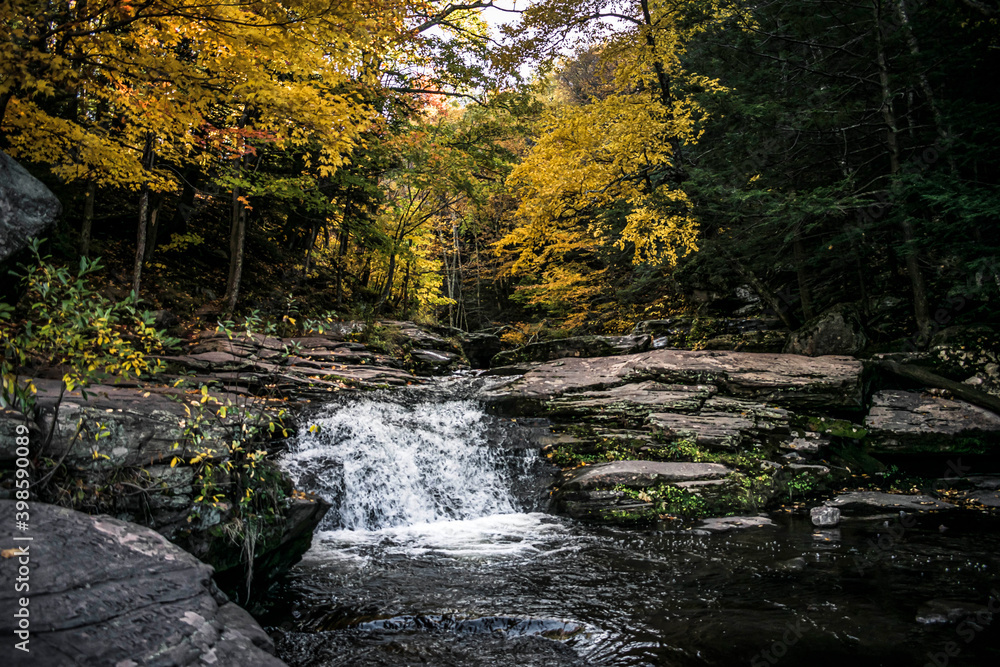Obraz premium waterfall in autumn