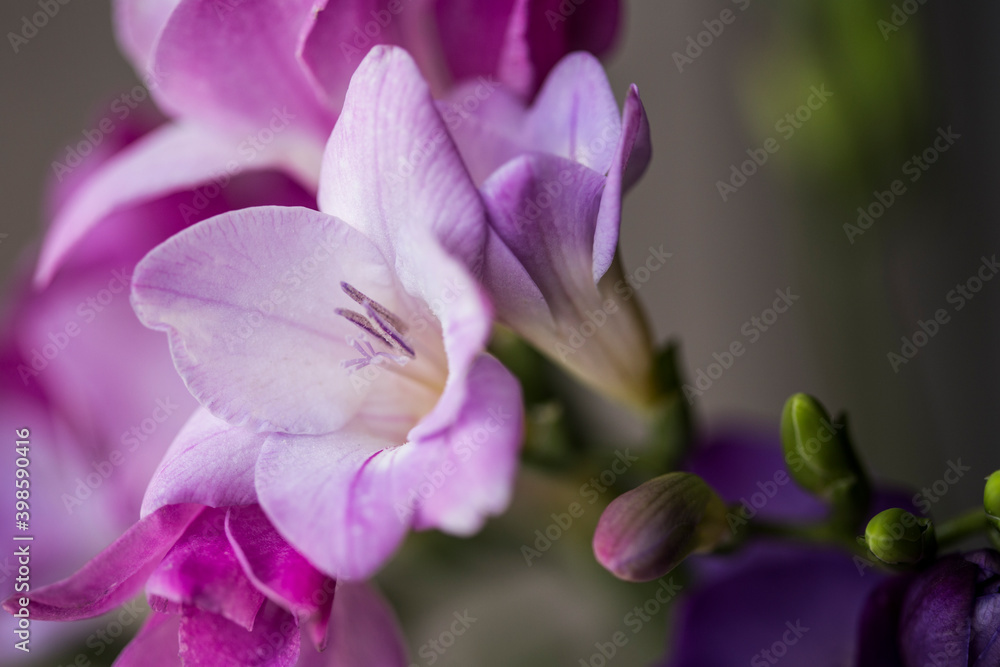 bouquet of blue flowers on neutral backdrop