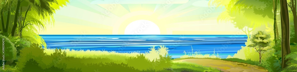 Sea. View from the bank overgrown with trees. The road from the forest. Flat style illustration. Horizon. Vector