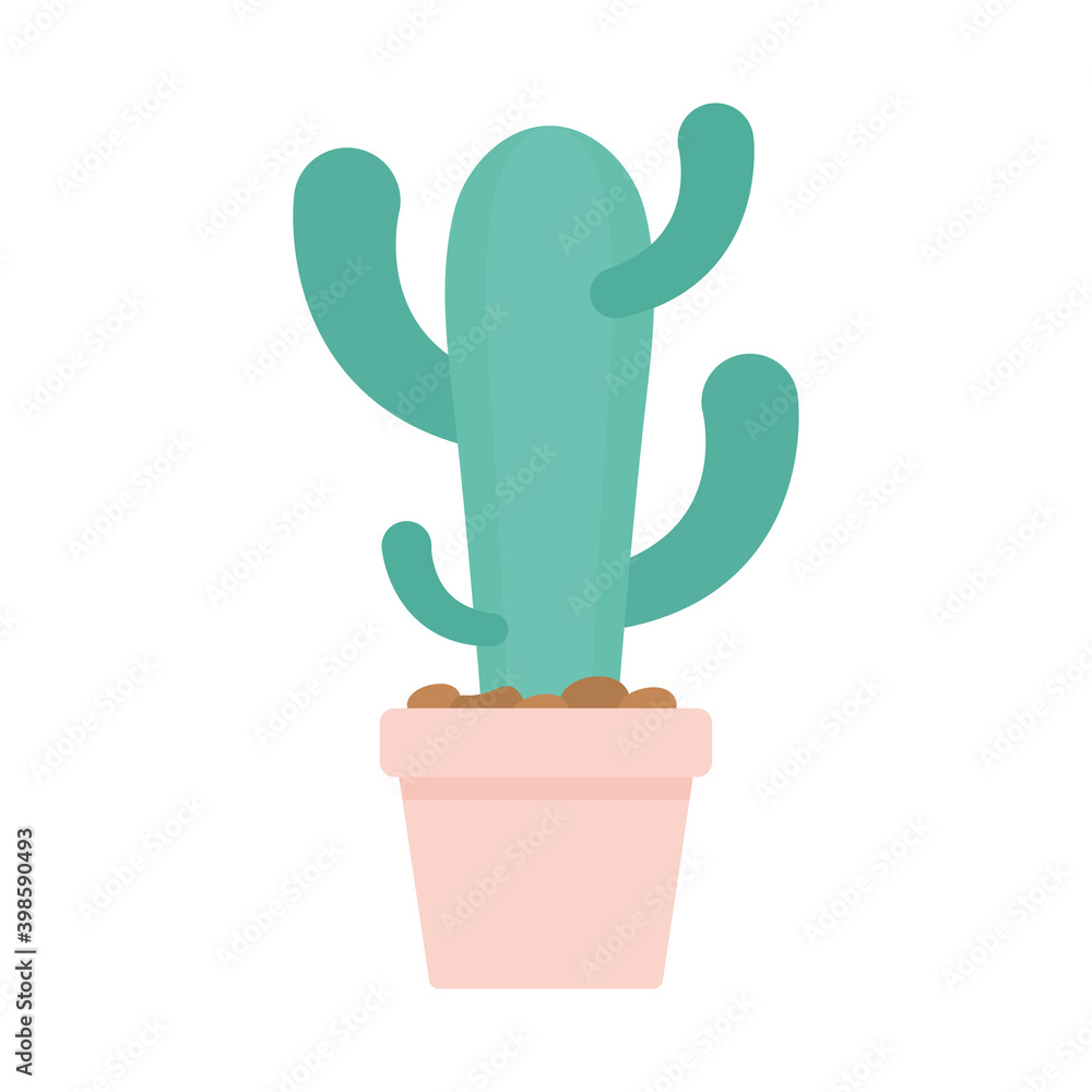 cactus over a pot on a white background cactus over a pot on a white background