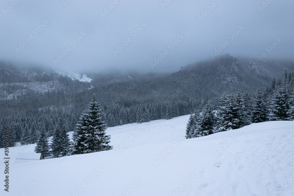 Zimowy szlak górski w Tatrach