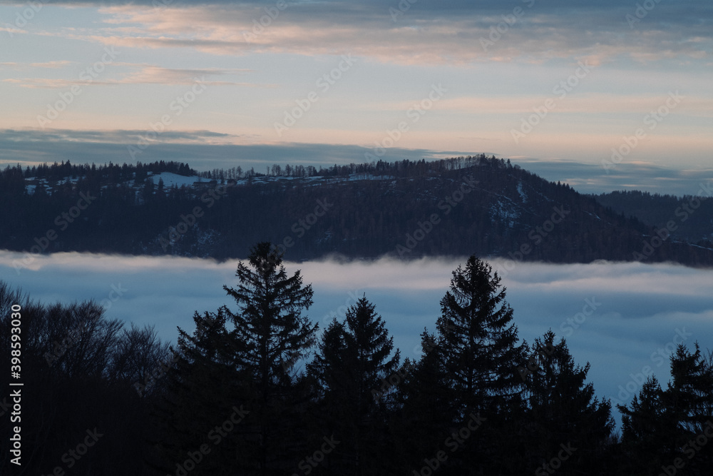 a foggy mountain with trees