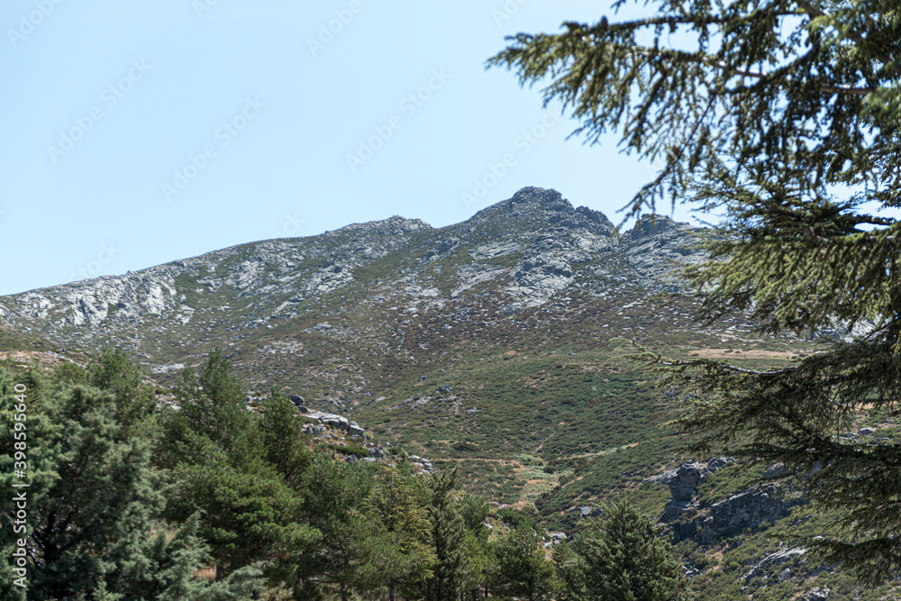 Obraz premium EL TOROZO