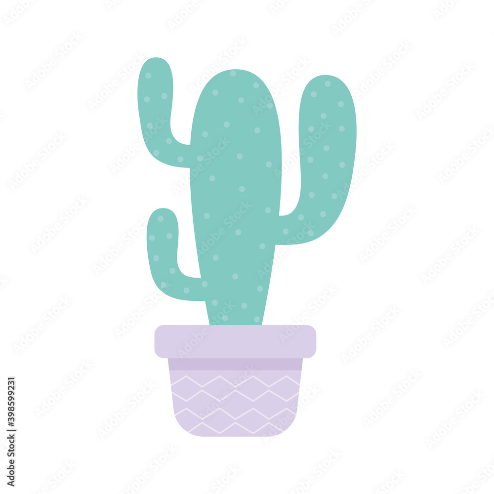 cactus over a purple pot cactus over a purple pot
