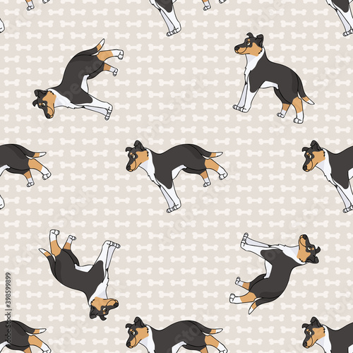 Hand drawn cute smooth collie breed dog seamless vector pattern. Purebred pedigree puppy domestic dog on paw background. Dog lover toy spaniel pet all over print. Kennel pooch. EPS 10. 