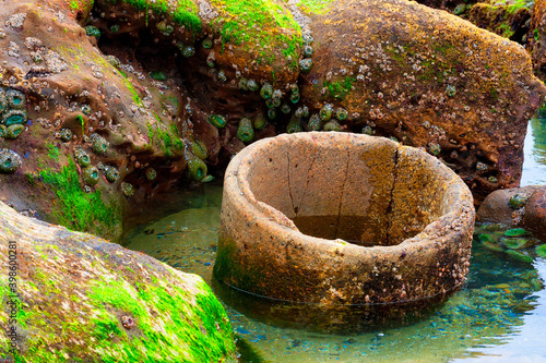 Close up of cement pipe in Tide pool