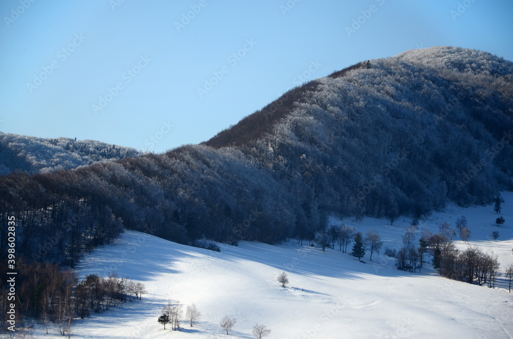 Pejzaż górski zimą. Mountain landscape in winter (Beskid Niski).