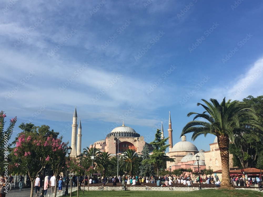 Naklejka premium Mosque Istanbul