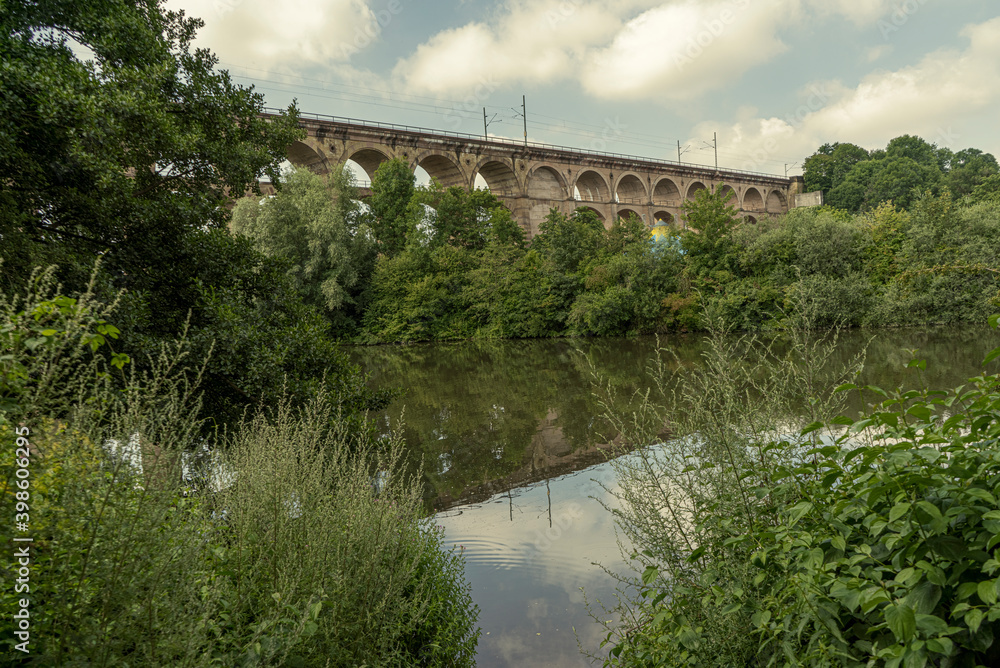 Closeup shot of a lake surrounded by greenery and a bridge in the background