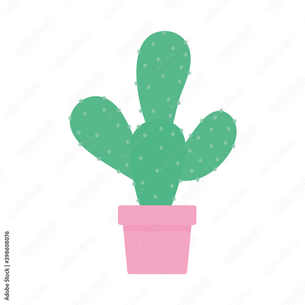 cactus with a green color on a white background cactus with a green color on a white background