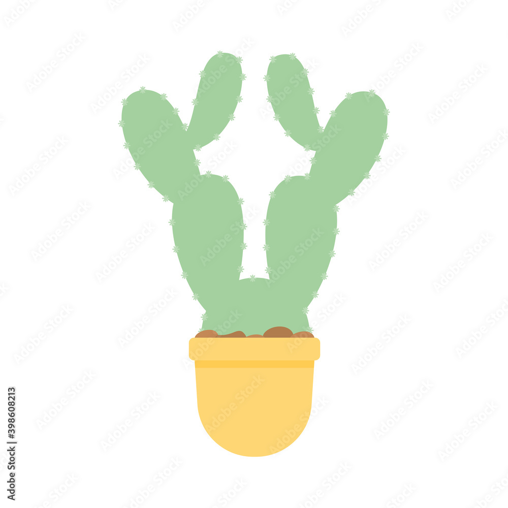 cactus with a green color over a white background cactus with a green color over a white background