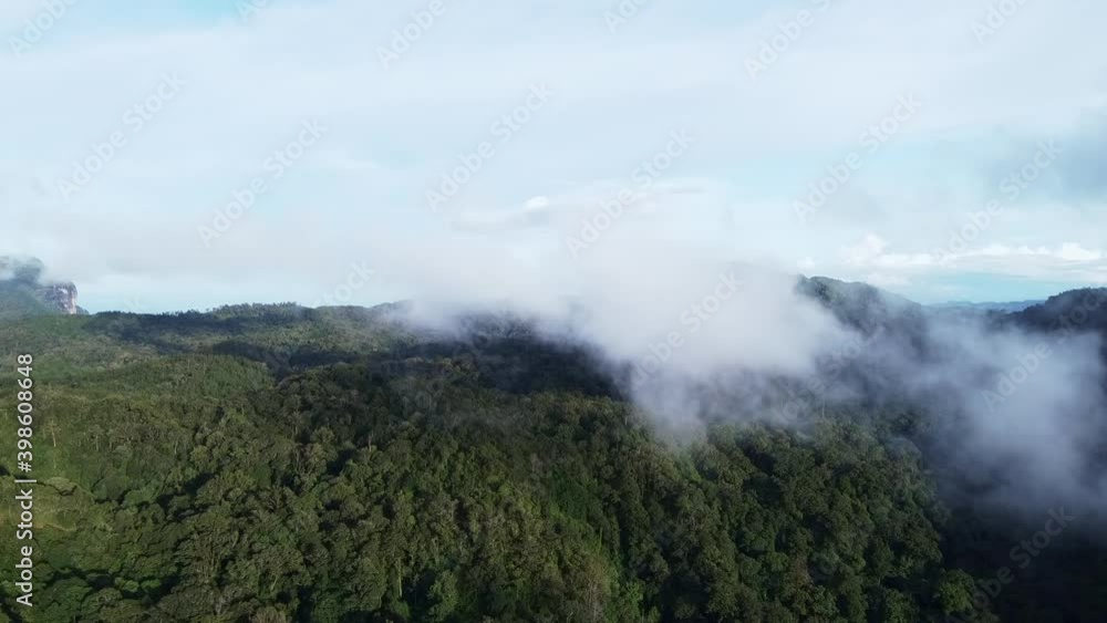 Drone Aerial view landscape beautiful nature of mountain range with forest in morning cloudy day. Panoramic green forest with wind blowing misty sea of fog passing mountain peak in Chiang Mai Thailand Drone Aerial view landscape beautiful nature of mountain range with forest in morning cloudy day. Panoramic green forest with wind blowing misty sea of fog passing mountain peak in Chiang Mai Thailand