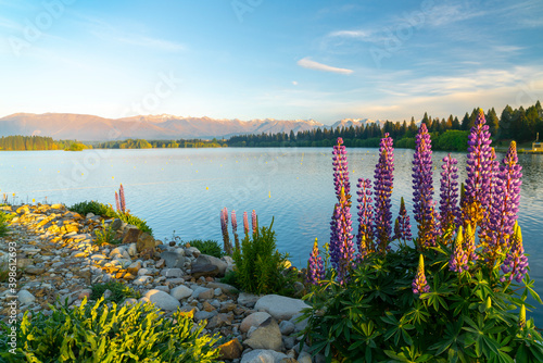 The golden hour over Lake Ruataniwha, Twizel. photo