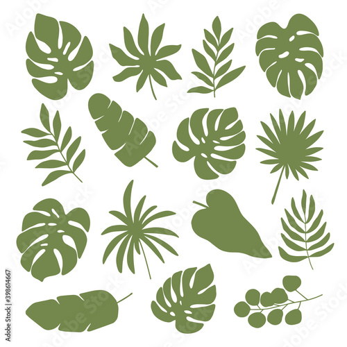 Vector set of tropical plant leaves silhouette. Monstera, palm, eucalyptus, banana leaf clipart. Jungle illustration isolated on white background. Design elements for banner, print, poster, sticker © Alena Koval