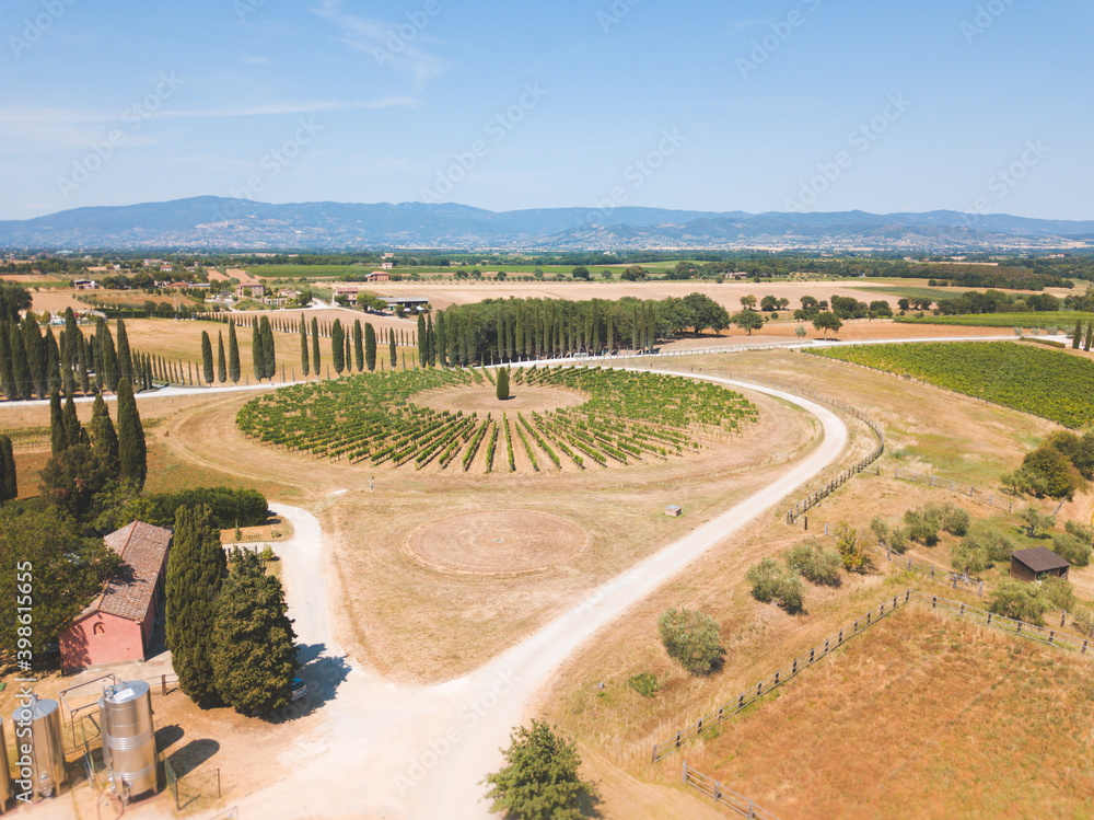 Aerial photography of vineyards and winery in Tuscany, Italy