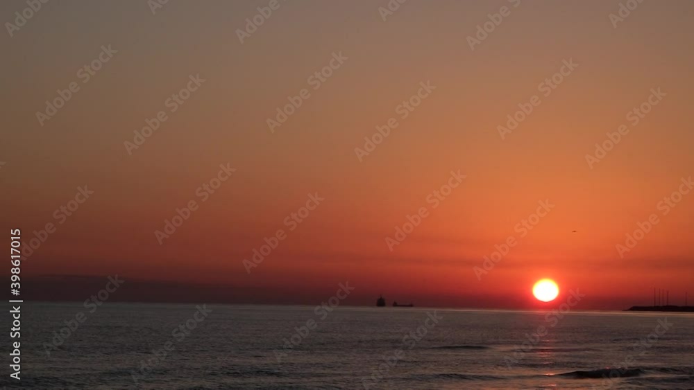 Sun rise with stork, sea Sun rise with stork, sea